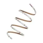Ledvance Strisce LED Performance 60W 6480lm 24v - 927 Bianco Molto Caldo | 5M/8mm - Miglior Resa Cromatica